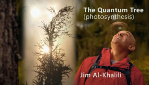 Photosynthesis - The quantum tree | Jim al-Khaili