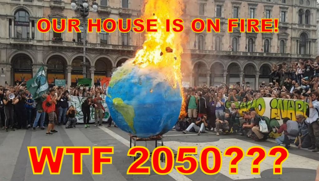 WTF 2050??? Our house is on fire NOW! Global Strike III - Fridays For Future Milano